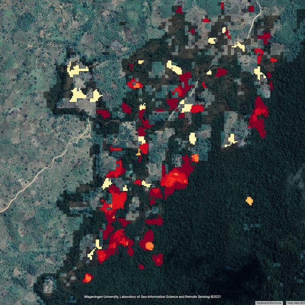 forest_removal_kwamtili_6feb22.jpg