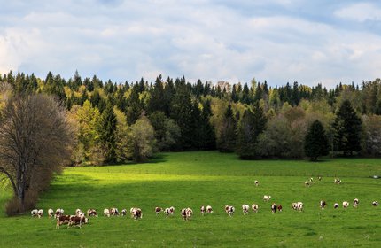 jura-pano.jpg