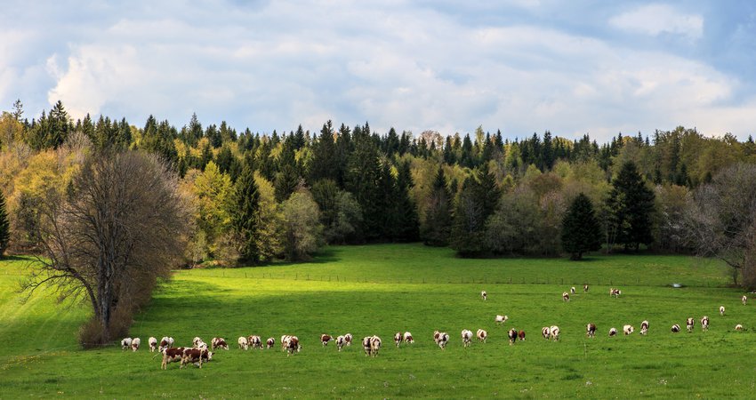 jura-pano.jpg